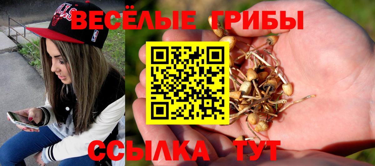 где купить наркоту  Галлюциногенные грибы мицелий  Вход с VPN  Трёхгорный 